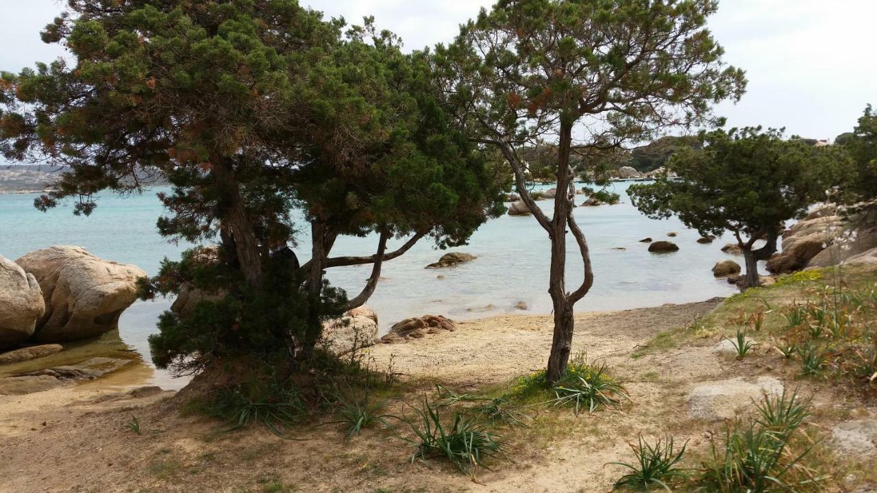 Casa Vacanze Della Maddalena Exteriör bild